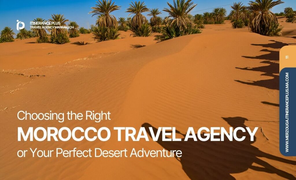 Morocco Travel Agency