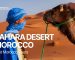 Sahara Desert morocco